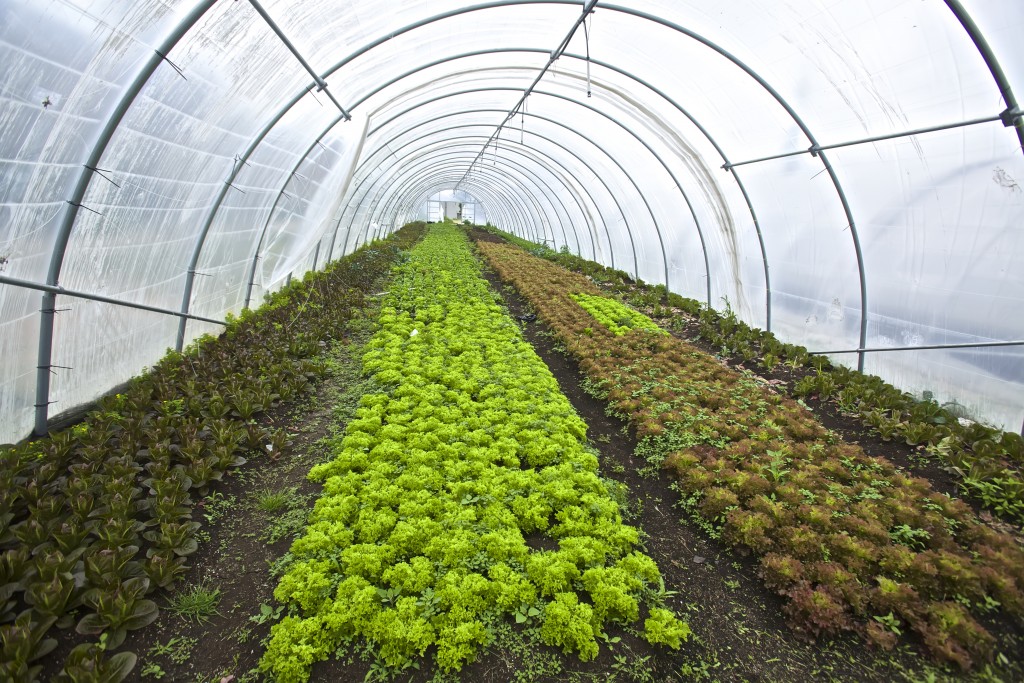 May 12, 2015 - Urban Agriculture Tax Credit Bill Signing