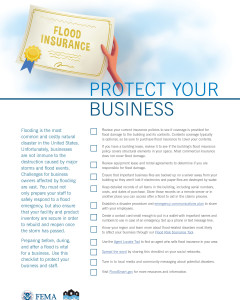 This one pager provides business owners with a checklist of important issue to think through in order to protect their business from the damages of flooding.