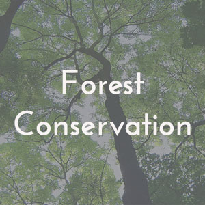 forestconservation